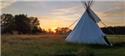 Veranstaltungsbild Ein Abenteuer im Tipi zwischen Schafen, Schweinen, Hühnern, Laufenten, Katzen, und Hund...